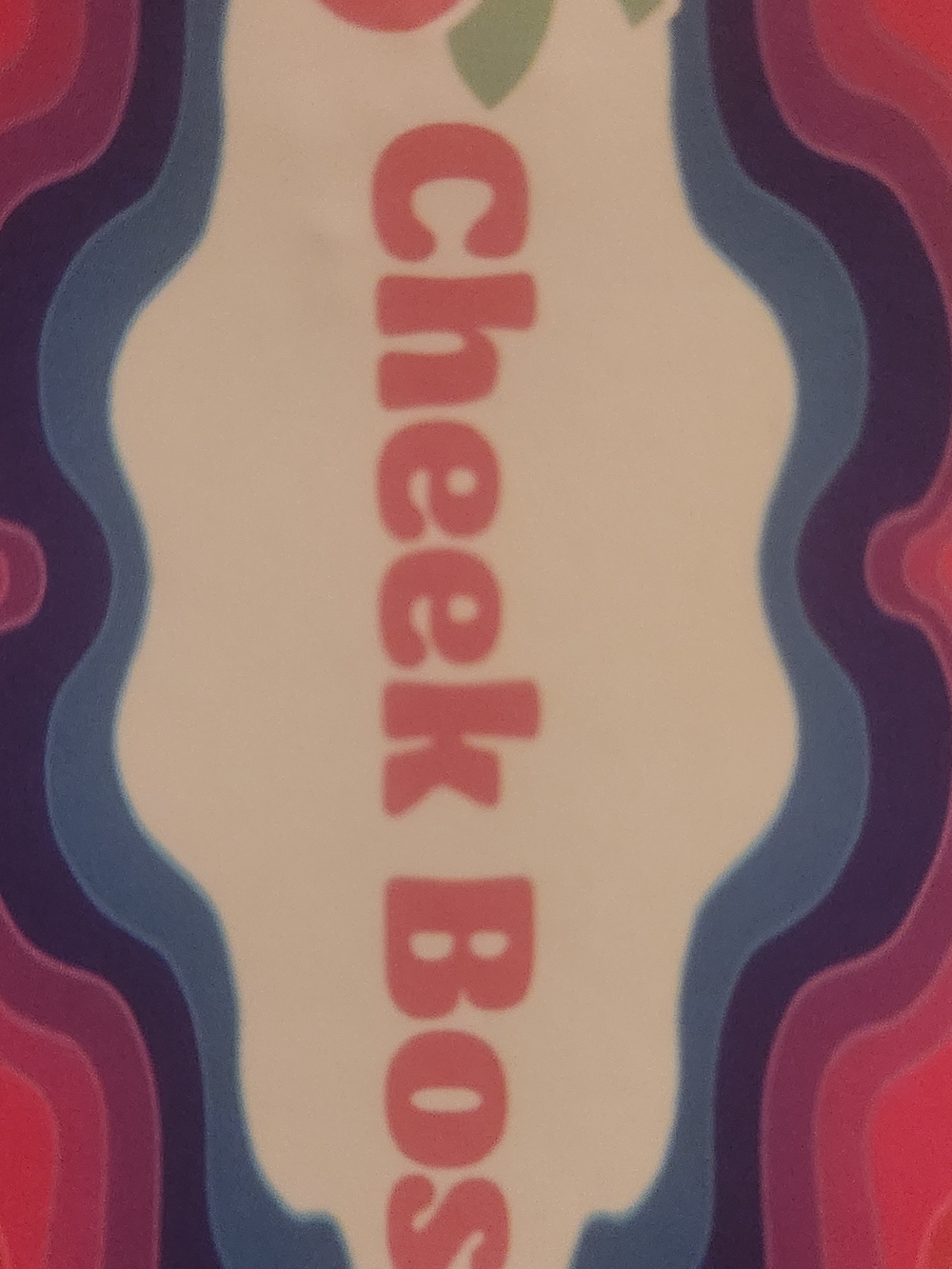 Cheek Boss Women's Printed Panties Lot